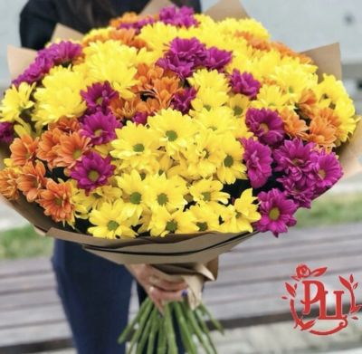 Лот: 15296416. Фото: 1. Букет из 15 хризантем. Свежие цветы