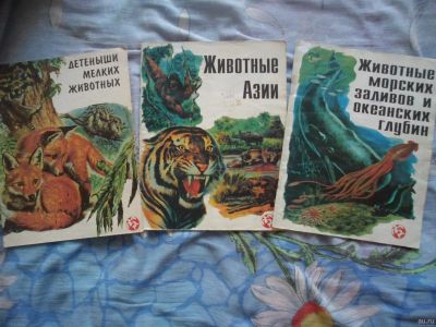 Лот: 13027436. Фото: 1. Три познавательные книги (из одной... Художественная для детей