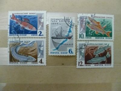 Лот: 3741721. Фото: 1. 1966,сентябрь.Промысловые рыбы... Марки