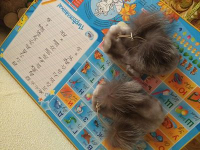 Лот: 7998177. Фото: 1. Продам мутоновые новые варежки. Шарфы, варежки