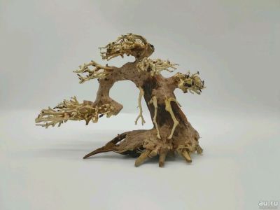 Лот: 10487906. Фото: 1. Бонсай коряга, driftwood коряга... Грунты, украшения, наполнения