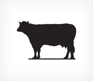 Лот: 19977633. Фото: 1. Меловая табличка "Корова" BB COW. Торговое