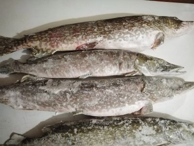 Лот: 17182233. Фото: 1. Щука свм. Икра, рыба, морепродукты
