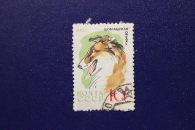 Лот: 7367272. Фото: 1. Почтовая марка №4878 в коллекцию. Марки