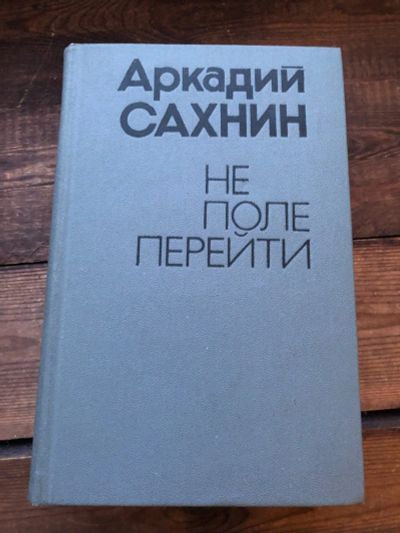 Лот: 17109645. Фото: 1. Книга Аркадий Сахнин " Не поле... Художественная