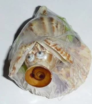 Лот: 537073. Фото: 1. Свинка из ахатины фулика. Ракушки... Другое (сувениры, подарки)