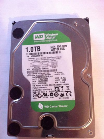 Лот: 7023434. Фото: 1. Western Digital 1000GB. Жёсткие диски (HDD)
