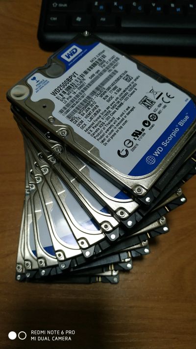 Лот: 14731780. Фото: 1. WD 250Gb. Жёсткие диски (HDD)