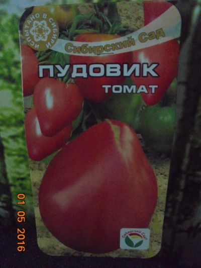 Лот: 7450325. Фото: 1. Рассада помидоров "Пудовик". Овощи