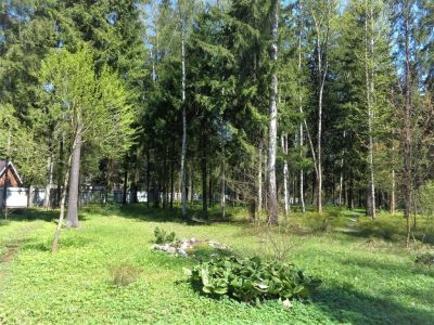 Лот: 16953949. Фото: 1. куплю земельный участок с лесом. Земельные участки