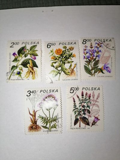Лот: 24850261. Фото: 1. Флора цветы Польша 1980 год. Марки