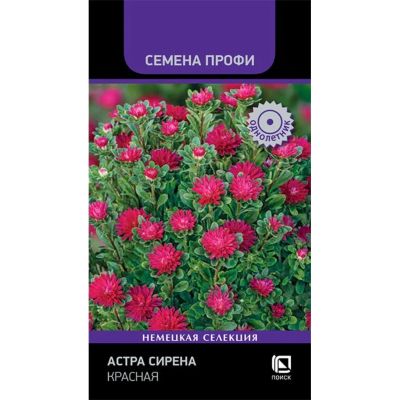 Лот: 25087170. Фото: 1. Семена Цветы, Астра, Сирена Красная... Другое (семена, рассада, садовые растения)
