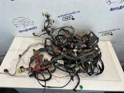 Лот: 21702344. Фото: 1. проводка под торпедо Nissan Terrano... Двигатель и элементы двигателя