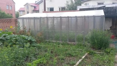 Лот: 9975794. Фото: 1. Теплица самовывоз демонтаж. Теплицы