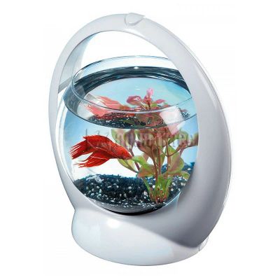 Лот: 8205683. Фото: 1. Tetra Betta Ring белый аквариум-шар... Аквариумы, террариумы