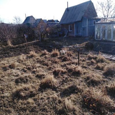 Лот: 13601603. Фото: 1. Продам дачу "Сады " общ-во "Урожай... Дачи