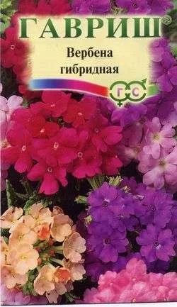 Лот: 11024188. Фото: 1. Вербена Романс гибрид. смесь 0... Садовые цветы
