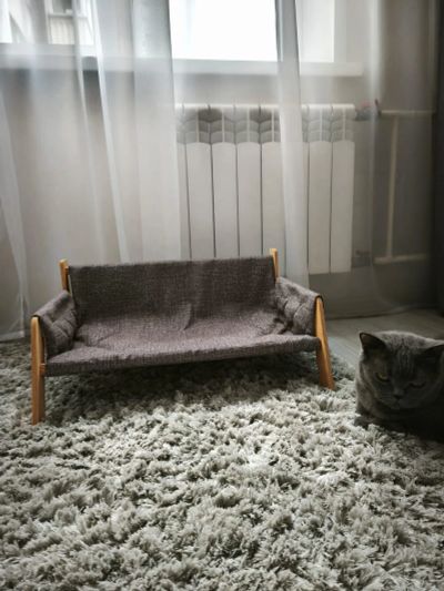 Лот: 25577627. Фото: 1. Диван софа для кота или собаки. Игрушки для животных