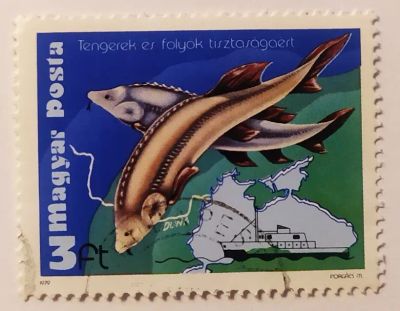 Лот: 20561988. Фото: 1. Венгрия 1979 Экологическая защита... Марки
