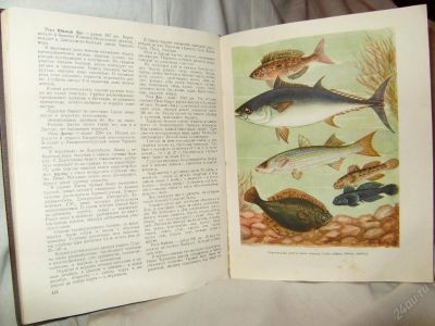 Лот: 105890. Фото: 1. Настольная книга рыболова. Книги