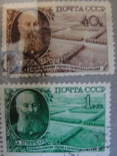 Лот: 4470984. Фото: 1. 1949. Естествоиспытатель В.В... Марки