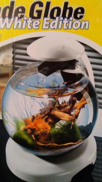 Лот: 9905348. Фото: 1. Tetra Cascade Globe. Аквариумы, террариумы
