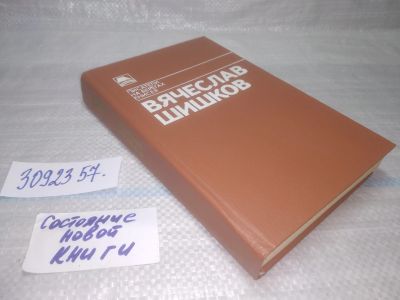 Лот: 8093690. Фото: 1. оз...вб...(3092357) Тайга. Холодный... Художественная