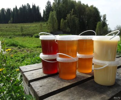 Лот: 13370566. Фото: 1. Мёд горно-таёжный, 3л - 5кг. Мёд, продукты пчеловодства
