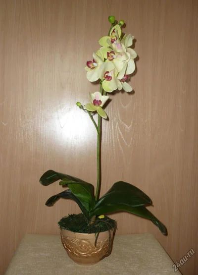 Лот: 1963709. Фото: 1. цветочная композиция "Орхидея". Аксессуары