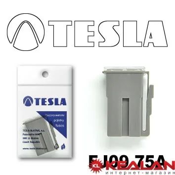 Лот: 8598095. Фото: 1. TESLA FJ09 75A предохранитель... Расходные материалы