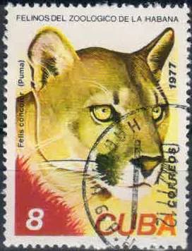 Лот: 21424198. Фото: 1. 1977. Куба. Кошки в зоопарке Гаваны... Марки