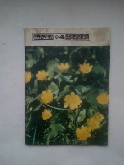 Лот: 24812295. Фото: 1. Журнал СССР "Юный натуралист... Детские