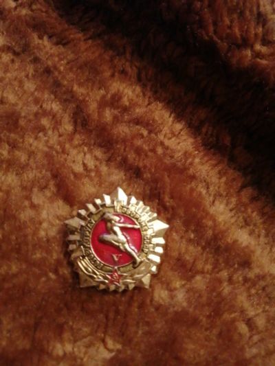 Лот: 15689663. Фото: 1. Значек готов к труду и обороне. Сувенирные