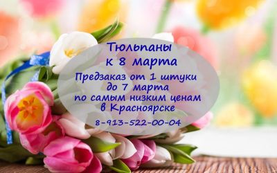 Лот: 9167068. Фото: 1. Тюльпаны от 1 ШТУКИ. Подарки на 8 марта