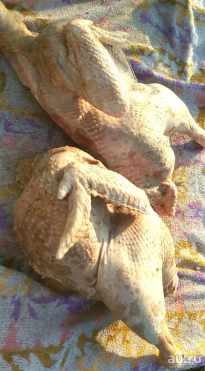Лот: 14529486. Фото: 1. Мясо индейки. Мясо, птица, яйцо