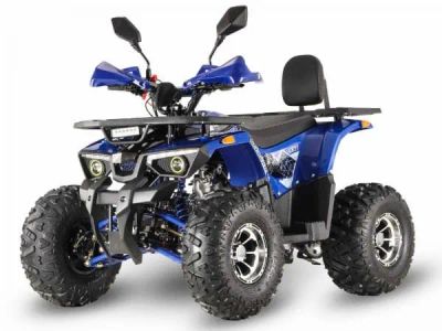 Лот: 25659121. Фото: 1. Квадроцикл GRIZZLY Aerox 125. Снегоходы, квадроциклы