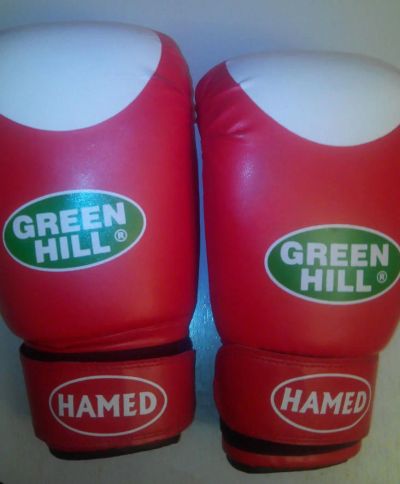 Лот: 4570150. Фото: 1. Перчатки боксерские Green Hill... Одежда для боевых искусств