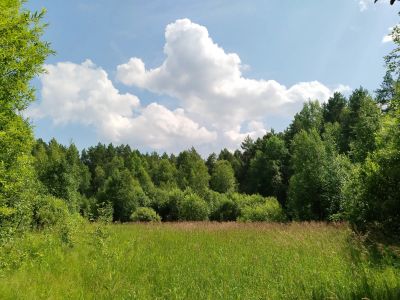 Лот: 12170033. Фото: 1. участок. Земельные участки