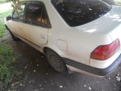 Лот: 4360878. Фото: 1. Toyota Corolla. Автомобили