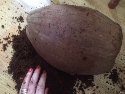 Лот: 13341305. Фото: 1. Cocopeet,кокосовый субстрат. Грунты, удобрения