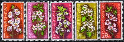 Лот: 18245286. Фото: 1. 1975. Болгария. Фруктовые Цветы... Марки