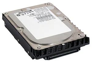 Лот: 3800948. Фото: 1. Fujitsu Жесткий диск MAN3367MC... Жёсткие диски (HDD)