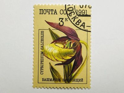 Лот: 23316424. Фото: 1. Цветы. Орхидеи. Башмачок настоящий... Марки