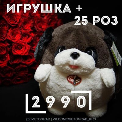 Лот: 8471005. Фото: 1. Букет из 25 роз + игрушка с ароматом... Свежие цветы