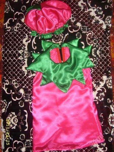 Лот: 1364202. Фото: 1. новогодний костюм ягодка. Детские карнавальные, праздничные костюмы