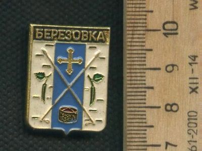 Лот: 17683807. Фото: 1. ( № 8924 ) значки гербы городов... Сувенирные