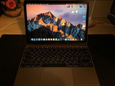 Лот: 9981135. Фото: 1. MacBook 12 Early 2016 Space Grey. Ноутбуки