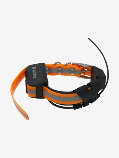 Лот: 25700399. Фото: 1. GPS-ошейник ARTELV COLLAR, Оранжевый. Другое (спортивная одежда)