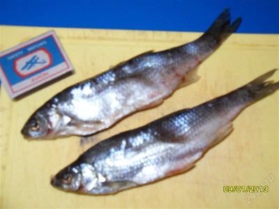 Лот: 2408380. Фото: 1. Рыба Чебак!!!. Икра, рыба, морепродукты