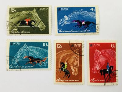 Лот: 23314921. Фото: 1. Коневодство и конный спорт. Полная... Марки